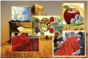 امنیت غذایی و ایمنی مواد غذایی
