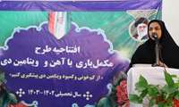 توزیع مکمل آهن و ویتامین D برای ۲۲۱۱ دانش آموز شهرستان گراش آغاز شد 