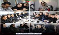  جلسه آموزشی بیماری‌های تاثیرگذار بر زایمان زودرس و مرگ نوزاد