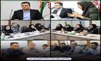 کارگروه پیشگیری و مقابله با سقط عمدی جنین تشکیل شد