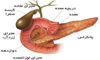 سنگهاي صفراوي چگونه تشكيل مي‏شوند: