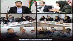 کارگروه پیشگیری و مقابله با سقط عمدی جنین تشکیل شد