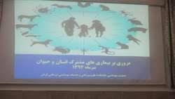 بمناسبت  هفته مبارزه با بیماری های مشترک انسان و دام جلسه آموزشی برگزار شد.