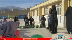 دانش آموزان در روز هوای پاک (۲۹دی ماه ) به پیاده روی رفتند .