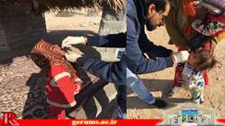 نوبت اول طرح تکمیلی واکسیناسیون فلج اطفال در شهرستان گراش اجرا شد .