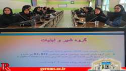 کارکنان بهداشتی با اصول تغذیه صحیح در میانسالی آشنا شدند