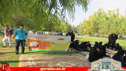 خلاصه اقدامات انجام گرفته به مناسبت روز جهانی تخم مرغ+عکس