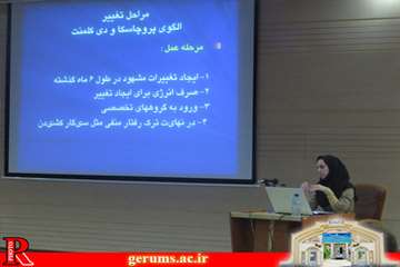 miansalan (3)
