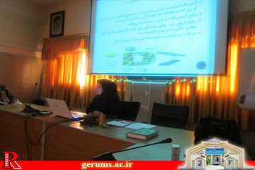 rizmoghazi (1)