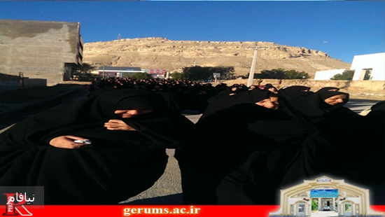 همایش پیاده روی 