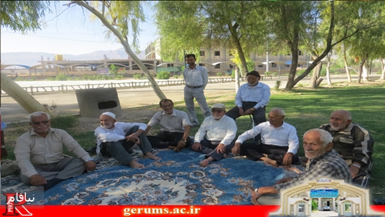 salmand1 