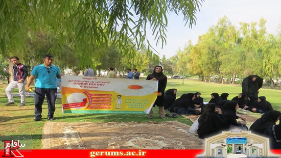روز جهانی تخم مرغ۳ - Copy 